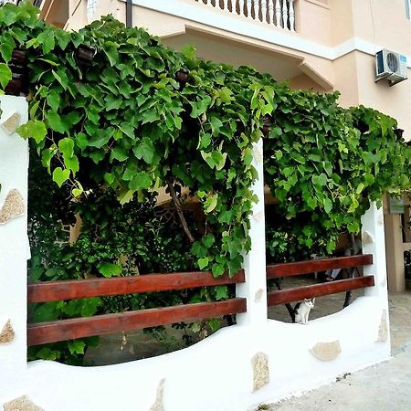 Apartments Papillon Podgoriçe Dış mekan fotoğraf